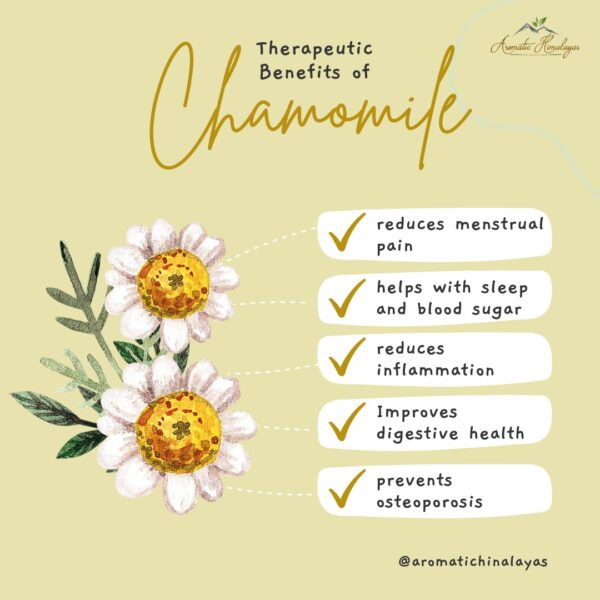 benefits of chamomile .jpg