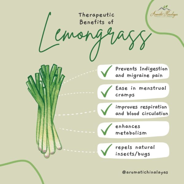 benefits of lemongrass .jpg