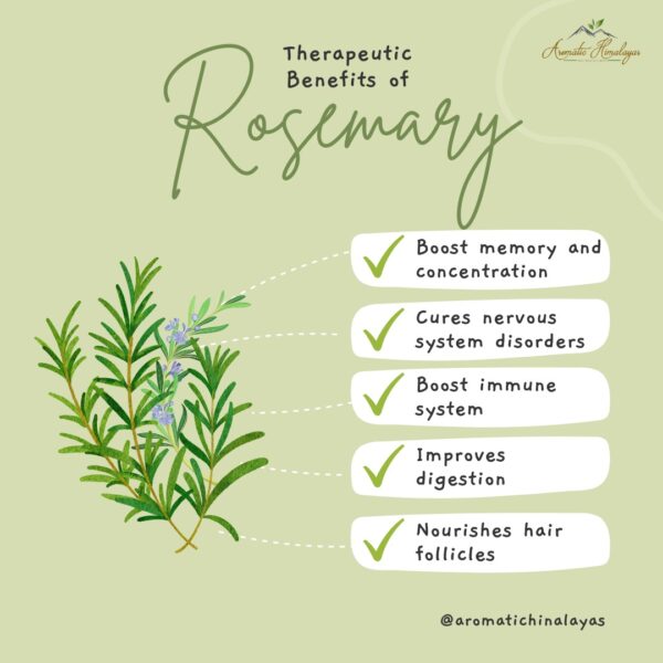 benefits of rosemary .jpg