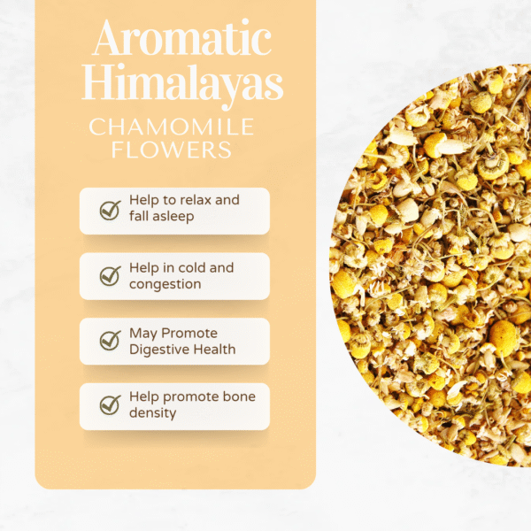 Chamomile - Image 2