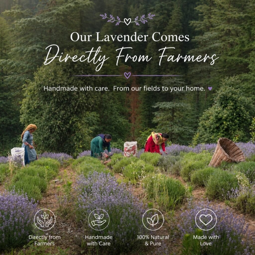 Our lavender comes directly from farmers in the Himalayas